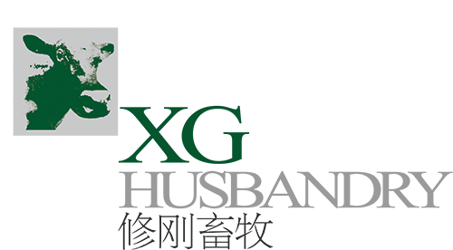 logo.jpg